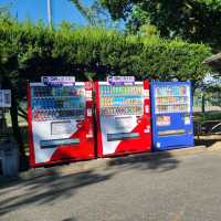 【福岡／糟屋】風が気持ちいい自然いっぱいの公園