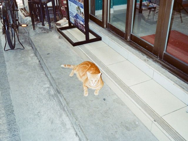 大澳一日遊