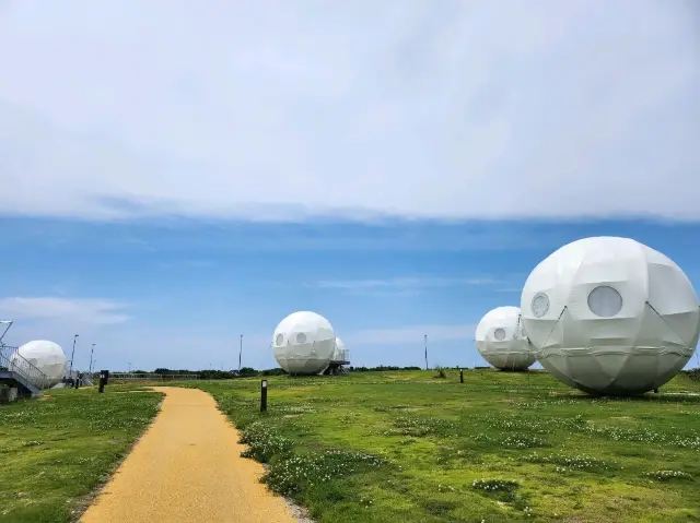 博多單車樂 - 海之中道海濱公園