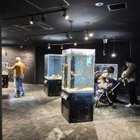 深入海洋奇境！足摺海洋館的神秘海底世界！🌊🐠