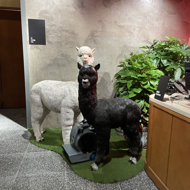 Eaton hotel Hong Kong facilities 