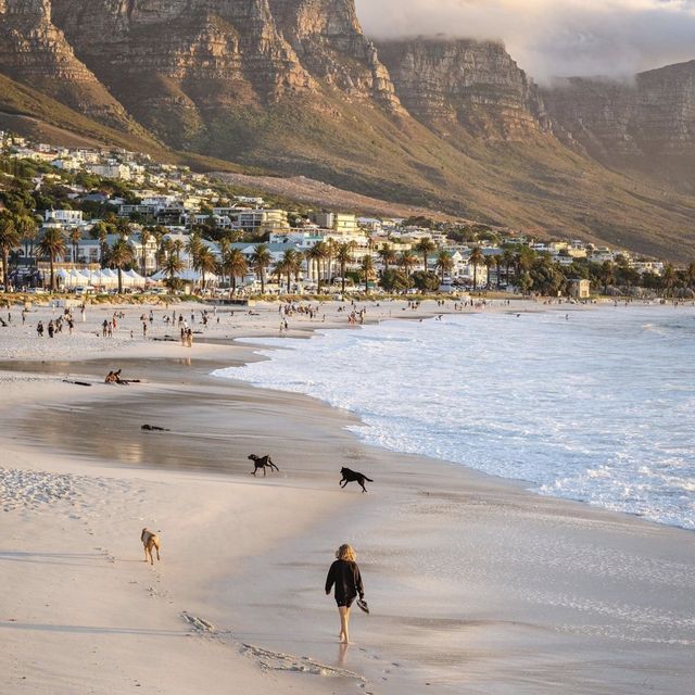 Camps Bay Beach, Cape Town 👙🏝️☀️