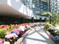 Miracle of Natural สวนดอกไม้เมืองหนาว 🌸🌹🌻💐
