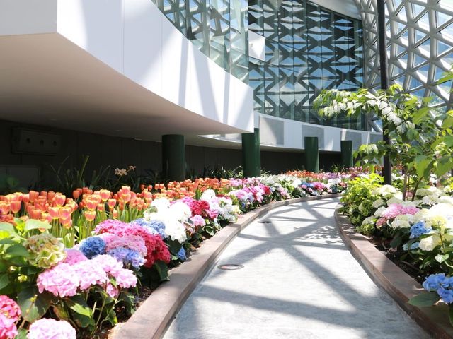 Miracle of Natural สวนดอกไม้เมืองหนาว 🌸🌹🌻💐