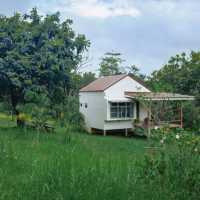 Baan Si Khaw Country Home - Khaoyai 🏡