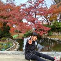 ฤดูใบไม้ผลิ 西山公園