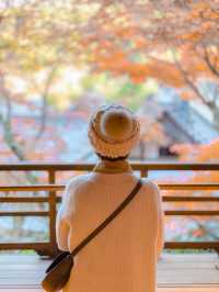 【京都楊谷寺】花手水と紅葉🍁両方楽しめるスポット