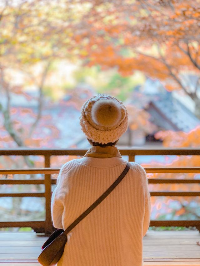 【京都楊谷寺】花手水と紅葉🍁両方楽しめるスポット