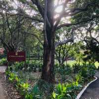 澳洲 Australia 🇦🇺📚 聖保羅學院（St Paul’s College）
