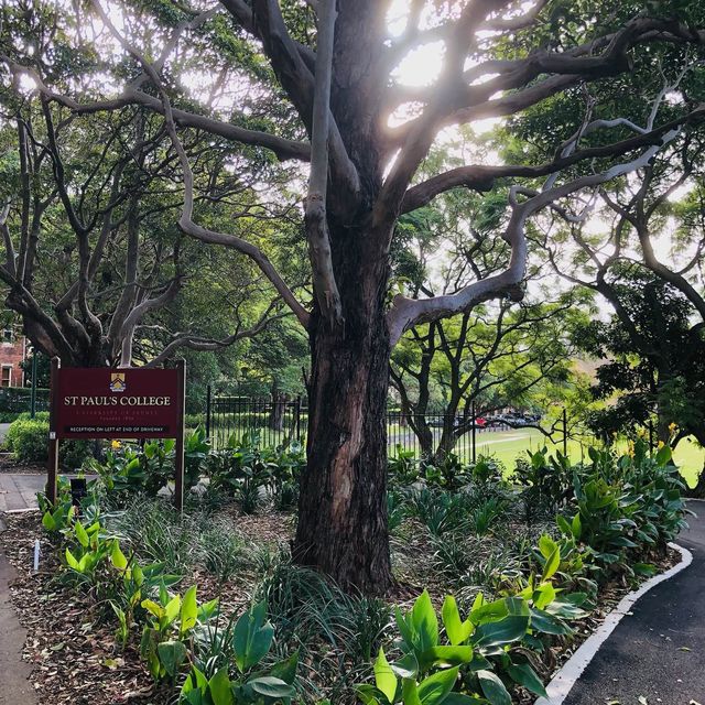 澳洲 Australia 🇦🇺📚 聖保羅學院（St Paul’s College）