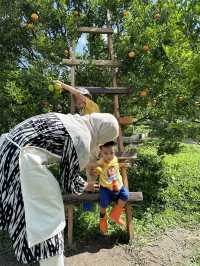 Jinju the orange farm chaingmai