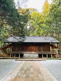 【群馬県/三夜沢赤城神社】2023年行ってよかった！群馬県の神社⑤