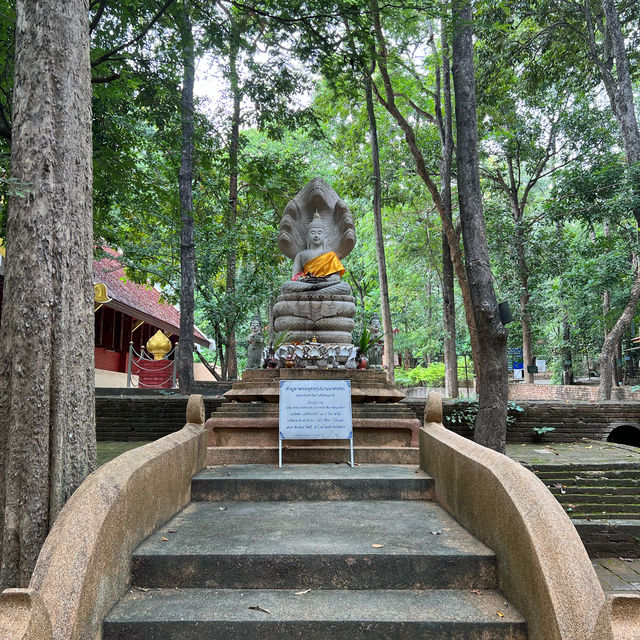 วัดอุโมงค์