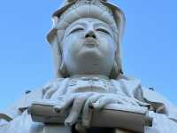 日本高崎市達磨寺 觀音山