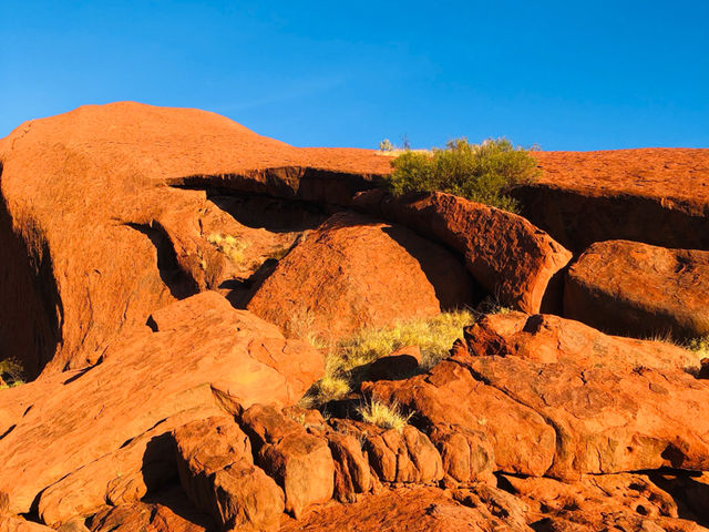 澳洲🦘來到了一個酷酷的世界♥️🟤 Uluru