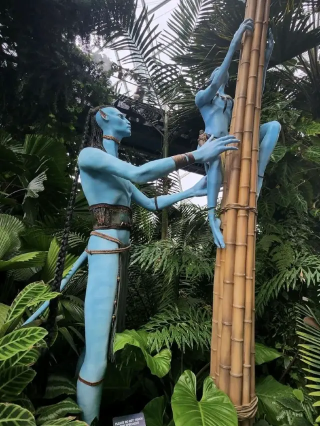 Avatar themed Cloud Forest in Singapore