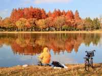 The largest park in Tokyo