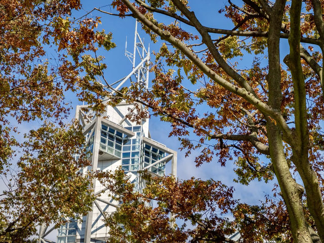 Toyama City Hall Observation Tower