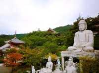 【壷阪寺】（奈良県高取町　旧国名：大和）