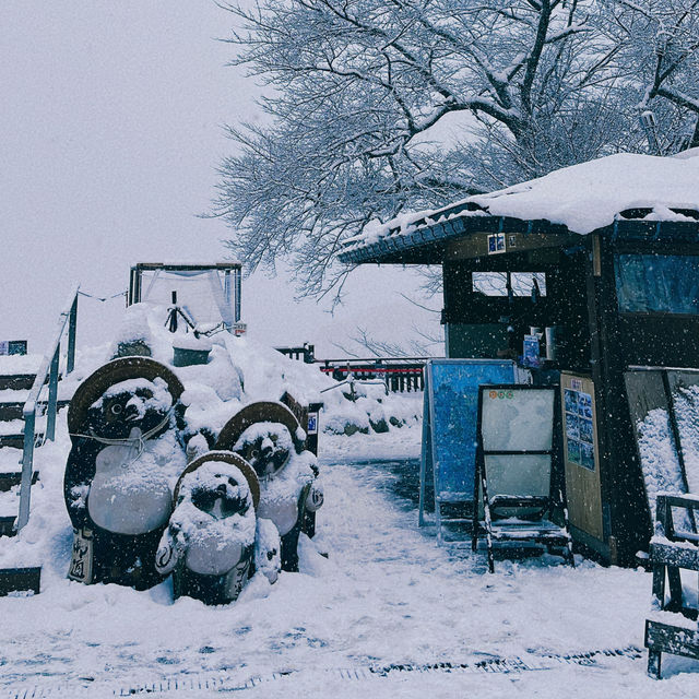 冬日的童話小屋們😽 -合掌村☃️🛖