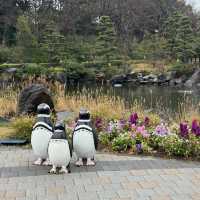 【東京】雨の日デートにオススメ！トンネル水槽が魅力的な水族館🦭✨