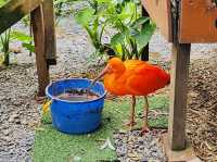 Okinawa Fruits Land 