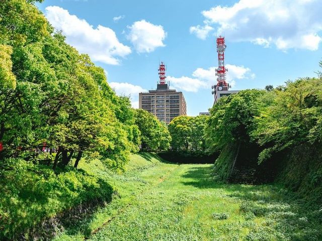 Nagoya castle 