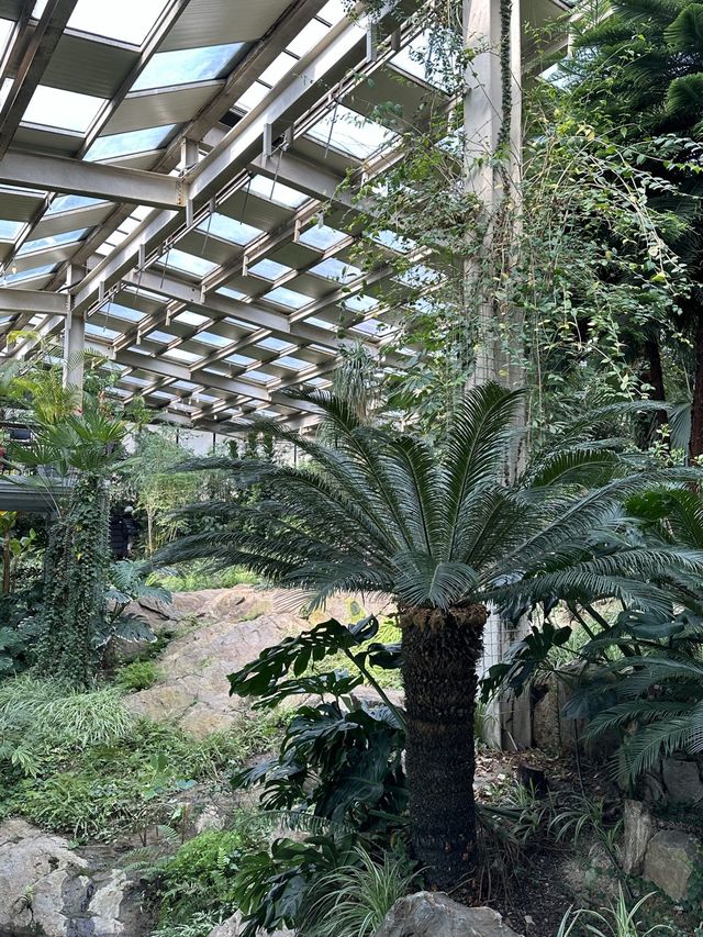 커다란 온실 정원에서 자연을 바라보며 🌴 실내 산책 데이트를 할 수 있는 양주 오랑주리 🌺