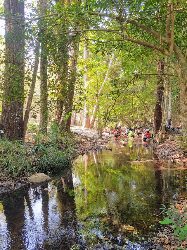 Ta Nang Phan Dung - beautiful nature camp hike