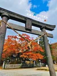 【栃木 那須塩原】温泉好きにおすすめ！御朱印と無料の足湯に入れる⛩️温泉神社