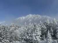 Shinhotaka Ropeway ในวันที่หิมะตก❄️☃️