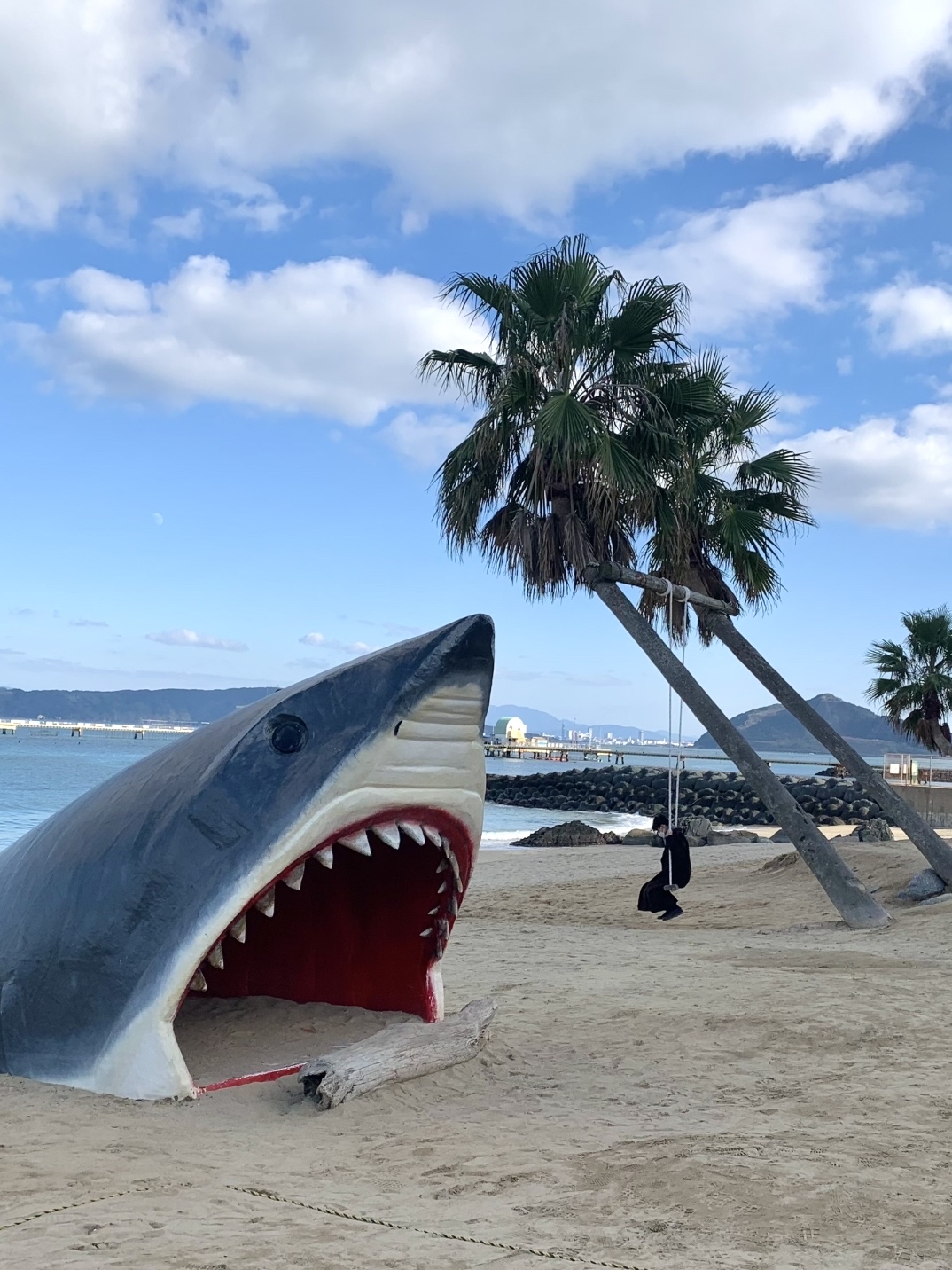幸運をもたらす『奇跡の流木』? | Trip.com 福岡
