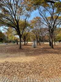 seoul forest park 🌷🍃