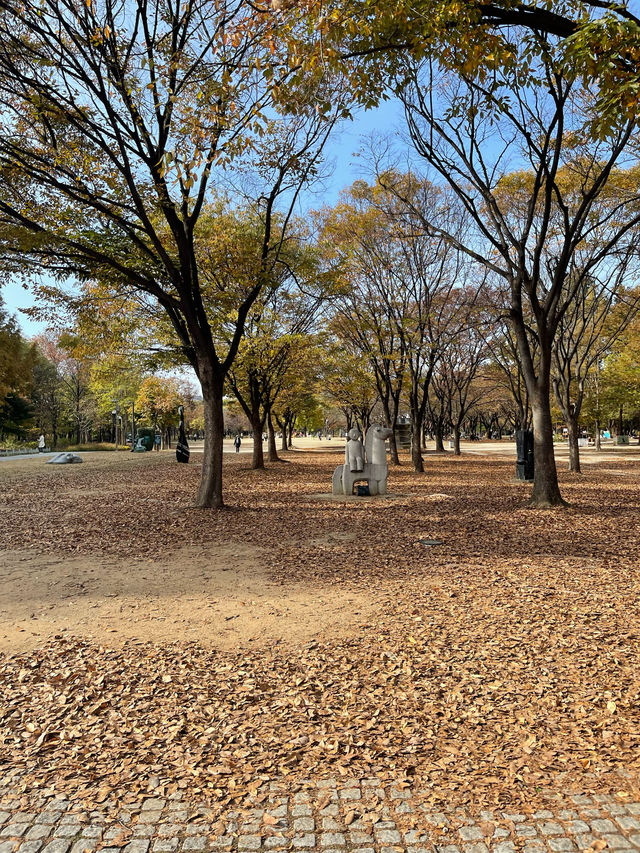 seoul forest park 🌷🍃
