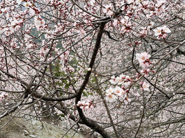 A sense of wonder and tranquility.