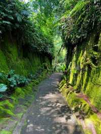 Goa Rang Reng Waterfall