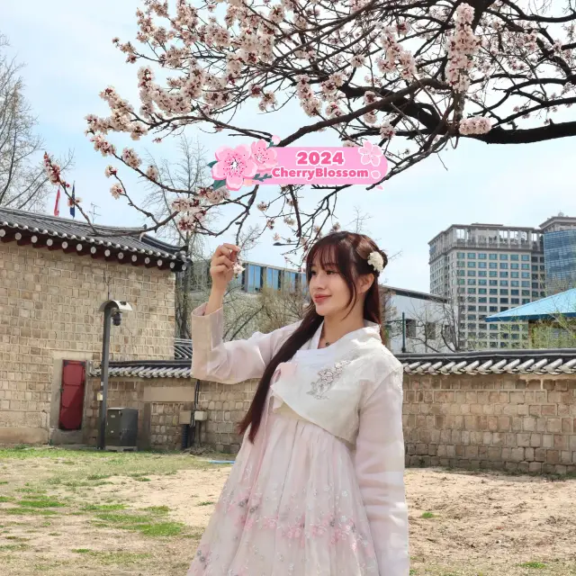 Hanbok: Gyeongbokgung Palace 🌸 