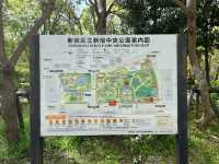 【都庁の隣の癒し公園★】新宿中央公園