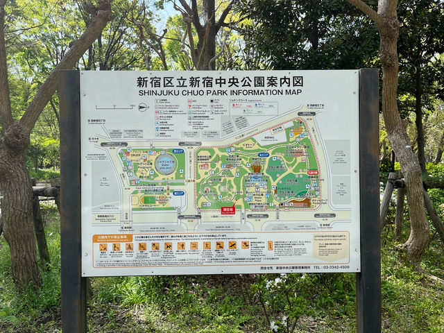 【都庁の隣の癒し公園★】新宿中央公園