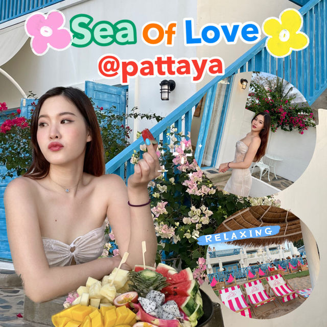 คาเฟ่หน้าร้อน sea of love @Pattaya 🌴🌊