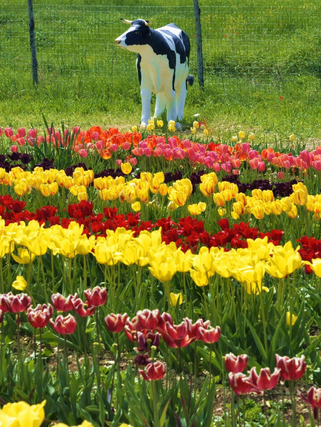 TuliPark - Spoleto