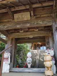 【山口】猫好きさん必見！猫だらけのお寺♡
