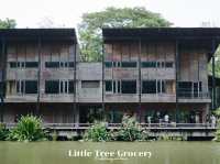 Little Tree Grocery คาเฟ่สุดชิคในม.มหิดล