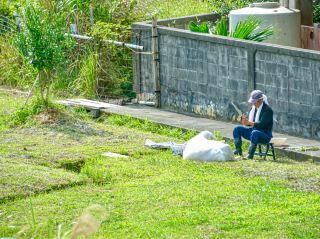 【Okinawa】Yaese Town: Mountains, Farmlands, and the Sea, a Great Spring Destination for Japan and Korea.