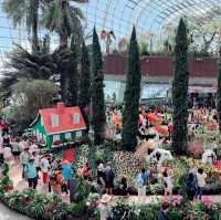 Exploring Tulipmania at Gardens by the Bay