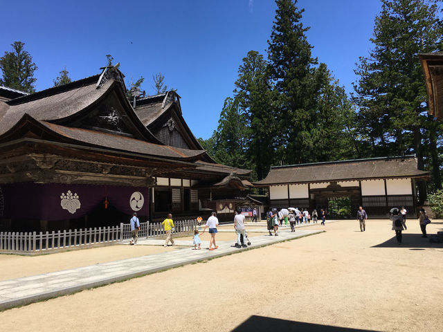 心靈寧靜：探訪日本高野山金剛峯寺靈修之旅