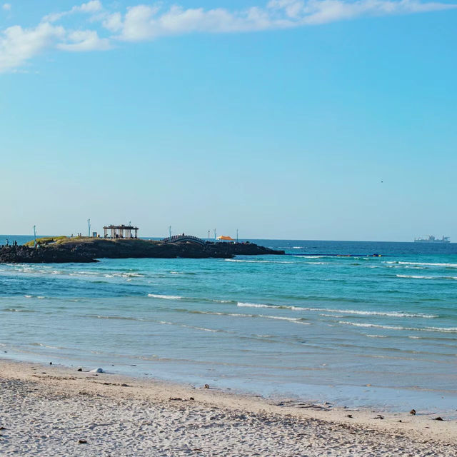 蘆屋海濱公園：優美海景，悠閒下午時光