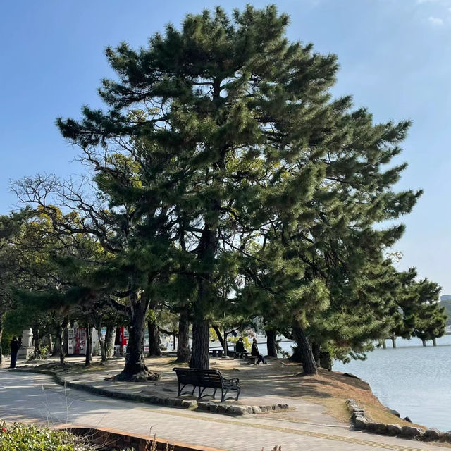 「世田谷古城園區:穿越時空,感受城池防禦的絕佳文化體驗!」 「世田谷古城園區:穿越時空,感受城池防禦的絕佳文化體驗!」