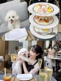 香港美利酒店高水準下午茶-Garden Lounge