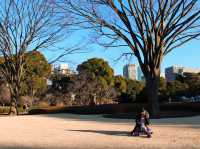 Charming Imperial Palace Garden in Tokyo 🇯🇵